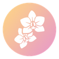 Ellipse New.png
